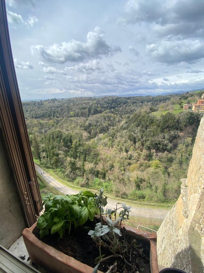 La Sorpresa Sul Bastione With Panoramic Balcony Apartamento Pitigliano Exterior foto